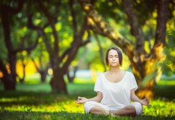 九游体育平台-费德勒的优雅与日本教练的二十连败，当光环成为枷锁